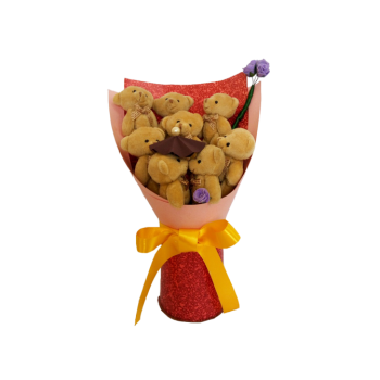 Teddy Bear Bouquets